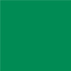 Lee Filters 327 - Forest Green
