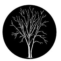 Gam Pattern 527 - Winter Trees A