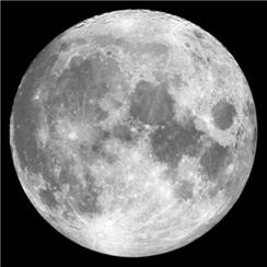 Apollo Pattern SR-1009 - Moon Natural