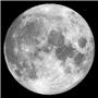 Apollo Pattern SR-1009 - Moon Natural