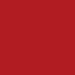 GamColor 250 - Medium Red XT