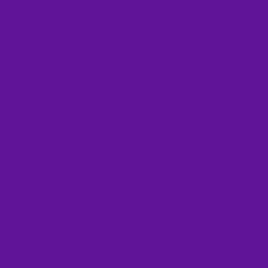 GamColor 948 - African Violet