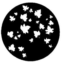 Gam Pattern 307 - Autumn Leaves