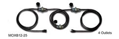 12/3 4-Outlet Black Extension Cord, 25