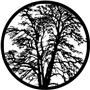 Rosco Pattern 8438 - Bare Tree