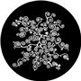 Rosco Pattern 8669 - Klimt Vines